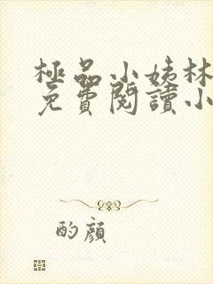 极品小姨林浩云免费阅读小说全文最新章节