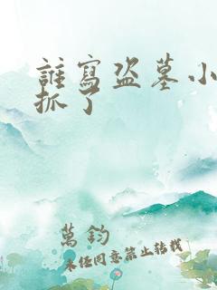 谁写盗墓小说被抓了