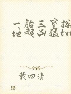一胎三宝总裁爹地超凶猛txt