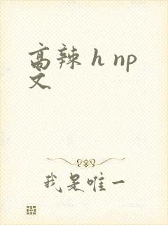 高辣 h np文