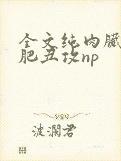 全文纯肉脏欲老肥丑攻np