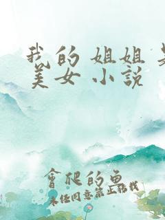 我的 姐姐 是美女 小说