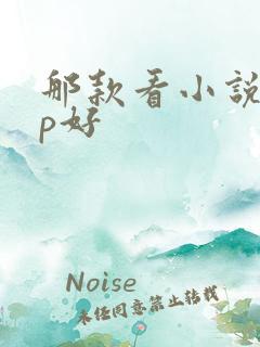 那款看小说app好