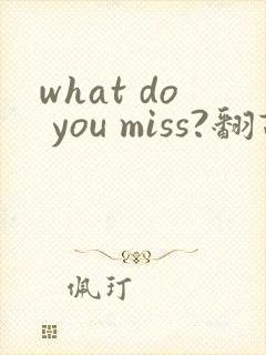 what do you miss?翻译中文