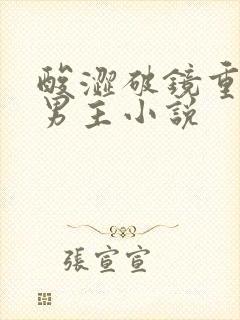 酸涩破镜重圆双男主小说