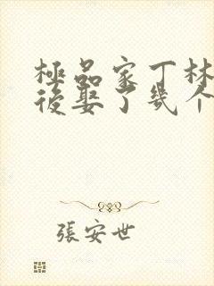 极品家丁林三最后娶了几个妻子