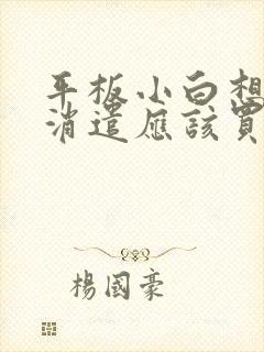 平板小白想画画消遣应该买哪个好