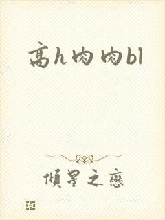 高h肉肉bl