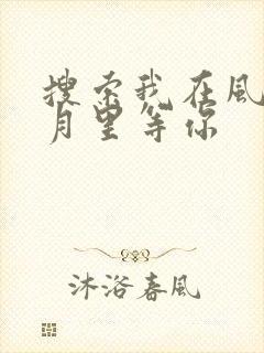 搜索我在风花雪月里等你