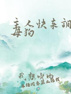 主人快来调教骚母狗