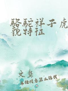 骆驼祥子虎妞外貌特征