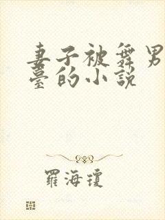 妻子被舞男邀上台的小说