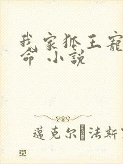 我家狐王宠妻如命 小说