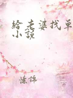 给老婆找单身男小说