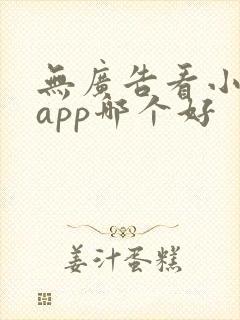 无广告看小说的app哪个好