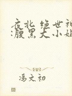 夜北 绝世神医:腹黑大小姐