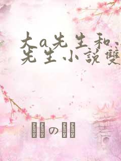 大a先生和小a先生小说双男主小说免费阅读