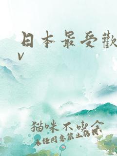 日本最受欢迎av