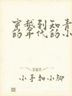 穿越到知青下乡的年代的小说