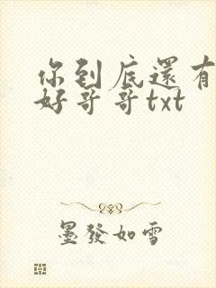 你到底还有几个好哥哥txt