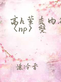 高h荤爽肉欲文〈np〉双