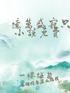 亿万盛宠只为你 小说免费