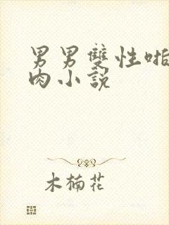 男男双性啪啪纯肉小说