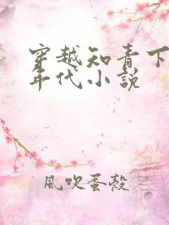 穿越知青下乡的年代小说