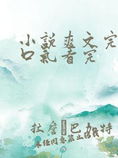 小说爽文完结一口气看完