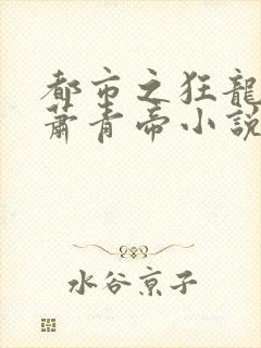 都市之狂龙战神萧青帝小说