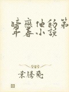 暗恋他的第十一年春小说