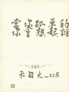 当你孤单的时候你会想起谁歌词