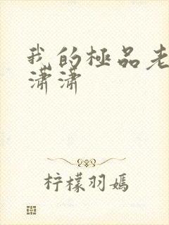 我的极品老婆李潇潇