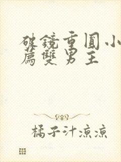 破镜重圆小说推荐双男主