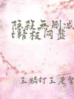 隐杀无删减txt精校网盘