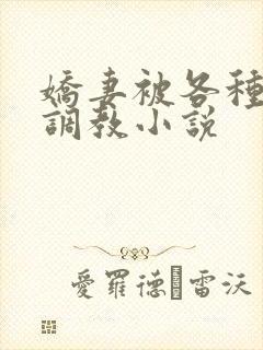 娇妻被各种刑具调教小说