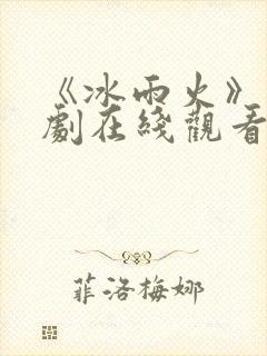 《冰雨火》电视剧在线观看完整版