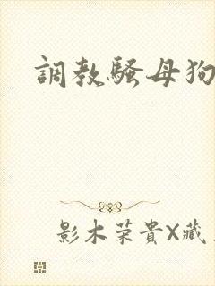 调教骚母狗人妻