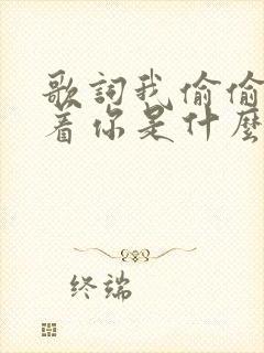 歌词我偷偷的望着你是什么歌