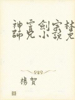 神霄剑宗林枫大师兄小说免费阅读