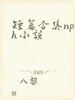 短篇合集np高h小说