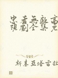 忠者无敌高清电视剧全集免费观看