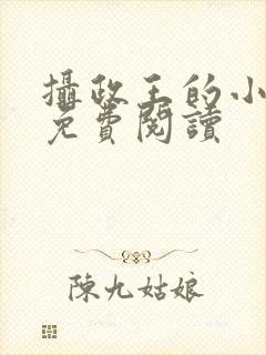 摄政王的小狼妃免费阅读