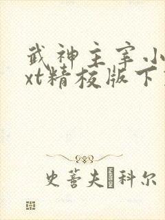 武神主宰小说txt精校版下载