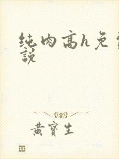 纯肉高h免费小说