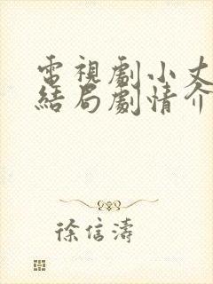 电视剧小丈夫大结局剧情介绍