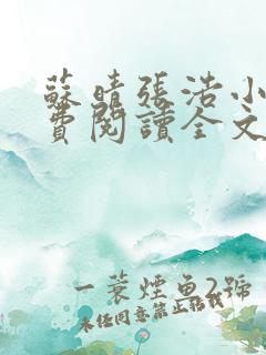 苏晴张浩小说免费阅读全文