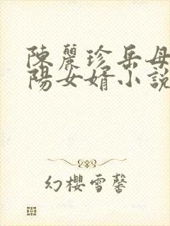 陈丽珍岳母,宋阳女婿小说