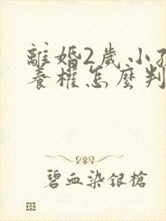 离婚2岁小孩抚养权怎么判定标准