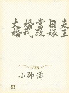 大婚当日夫君逃婚我改嫁主演